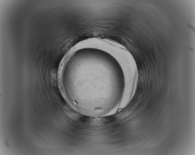 X0000096460527200802211129