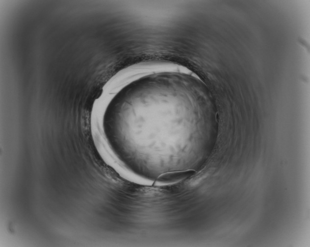 X0000096460528200802211129