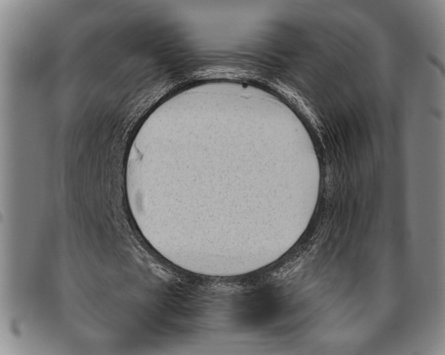 X0000096460529200802211128