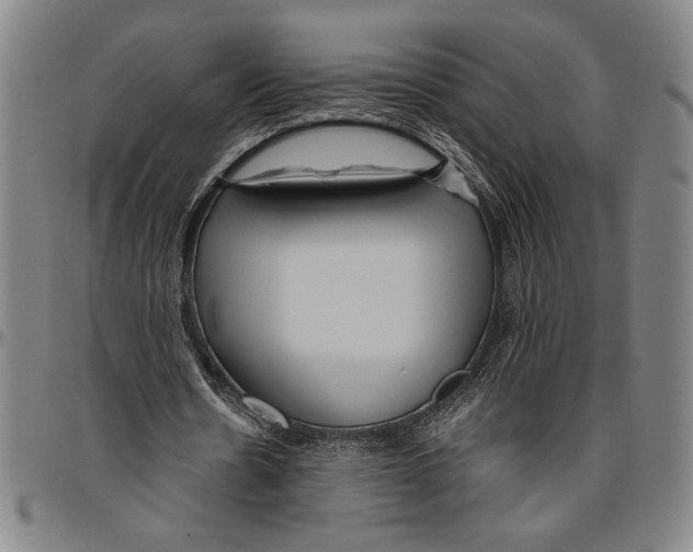 X0000096460530200802211128
