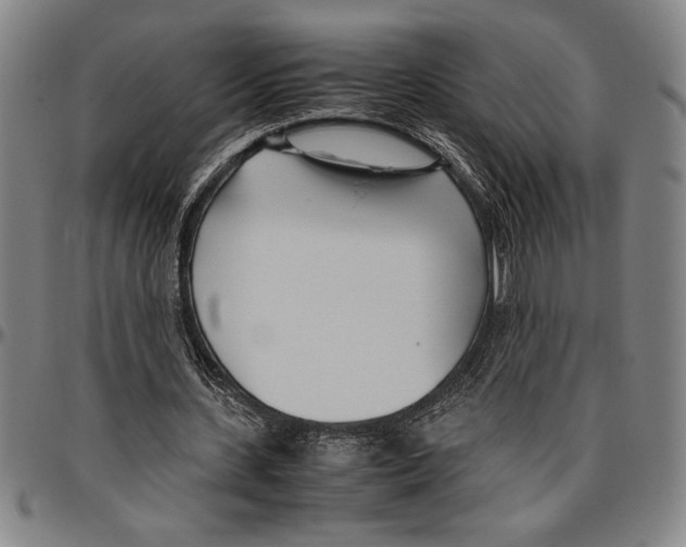 X0000096460531200802211128
