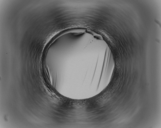 X0000096460532200802211128