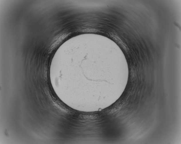 X0000096460533200802211128