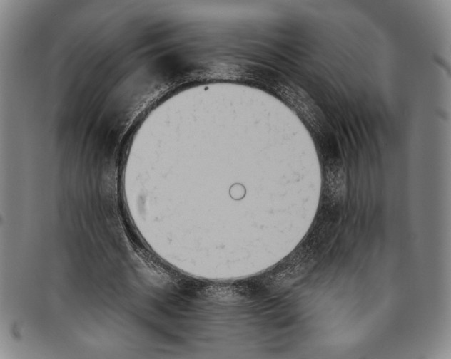 X0000096460534200802211128
