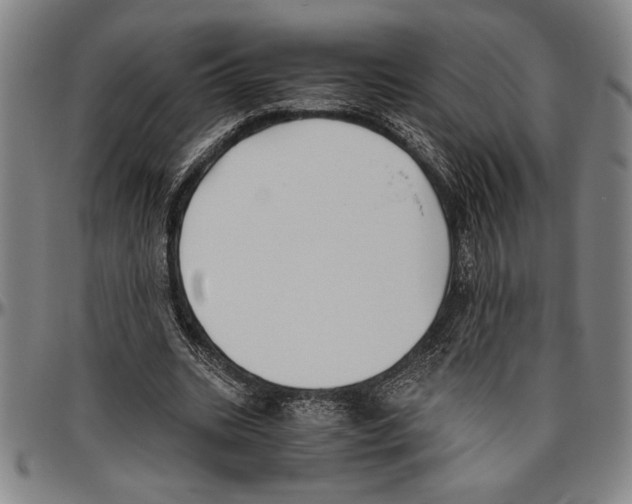 X0000096460535200802211128