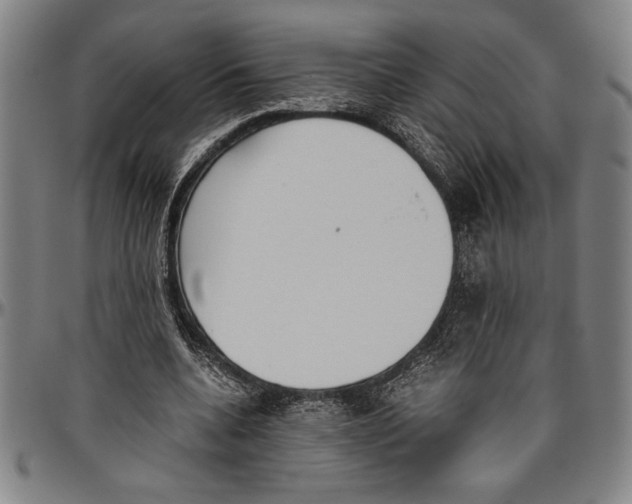 X0000096460536200802211128