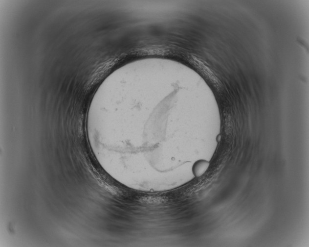 X0000096460537200802211128