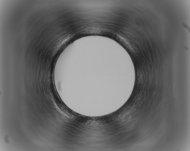 X0000096460538200802211128