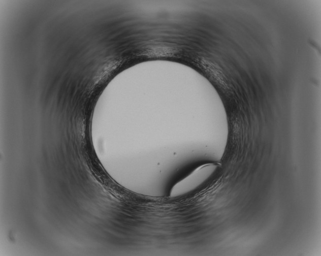 X0000096460539200802211128