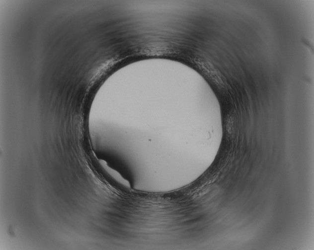 X0000096460540200802211128