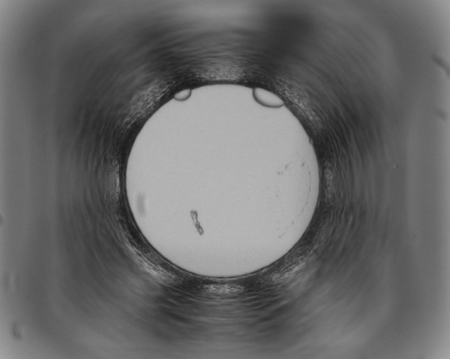 X0000096460541200802211128