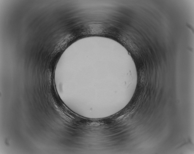 X0000096460542200802211128