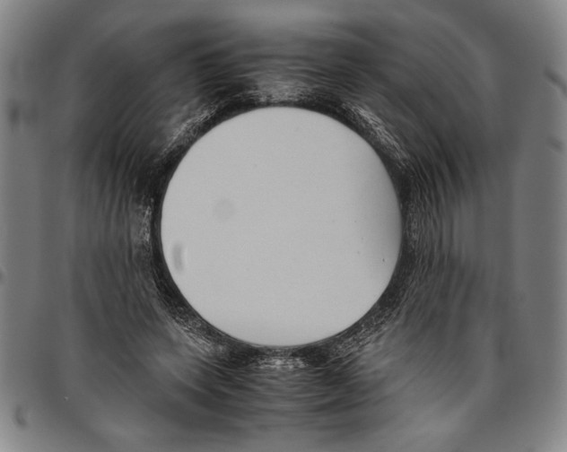 X0000096460543200802211128
