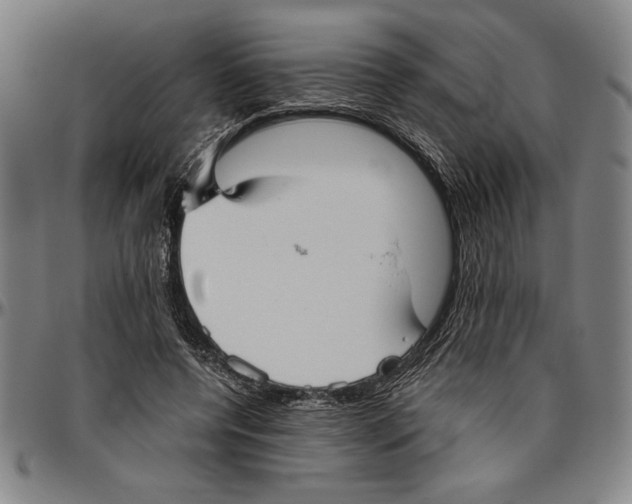 X0000096460544200802211128