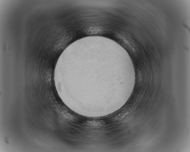 X0000096460545200802211129