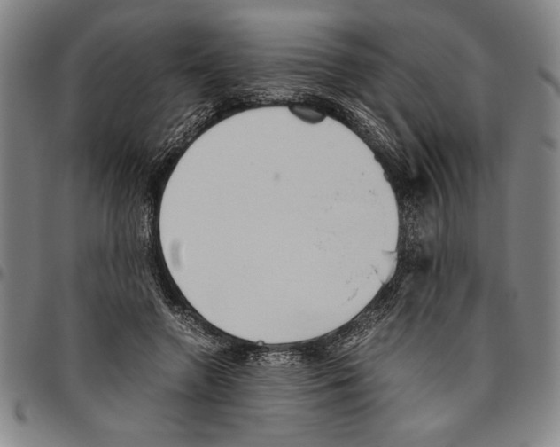 X0000096460546200802211129