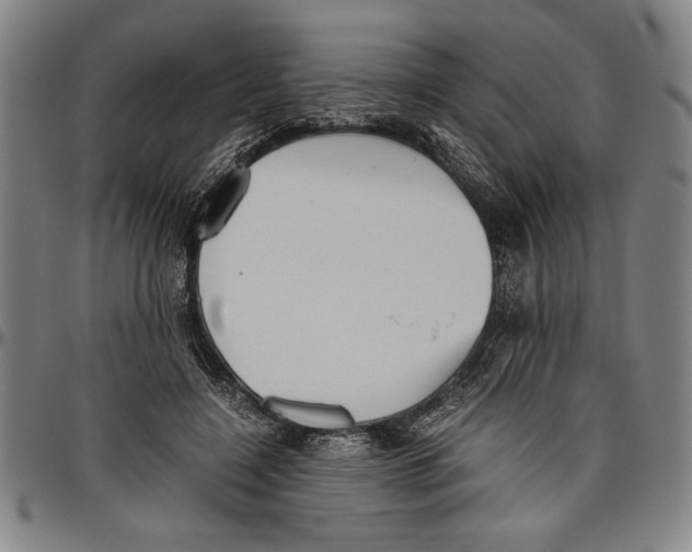 X0000096460548200802211129