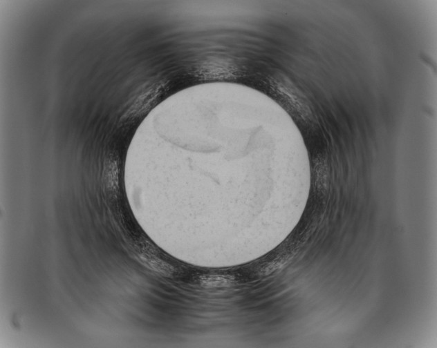X0000096460549200802211129