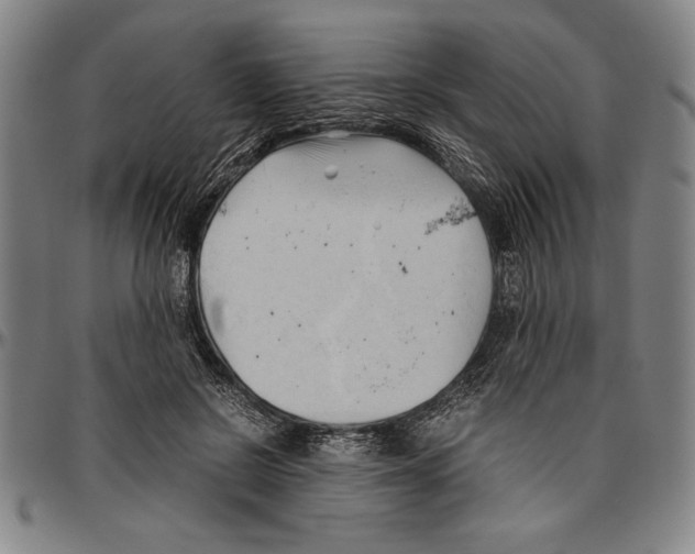 X0000096460550200802211129