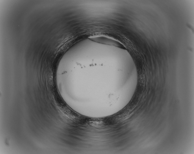 X0000096460552200802211129
