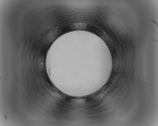 X0000096460553200802211129