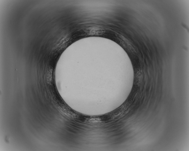 X0000096460554200802211129