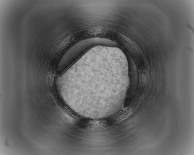 X0000096460558200802211129