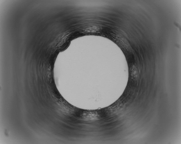 X0000096460559200802211129