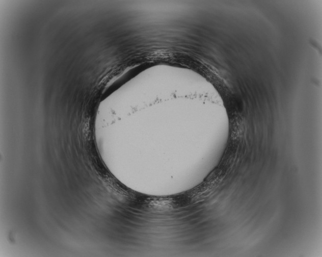 X0000096460560200802211129