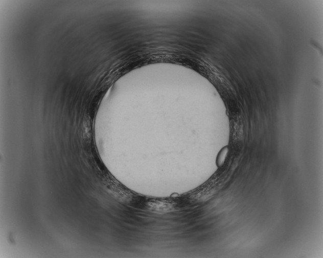 X0000096460561200802211129