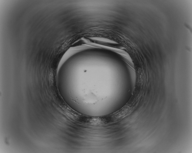 X0000096460562200802211129