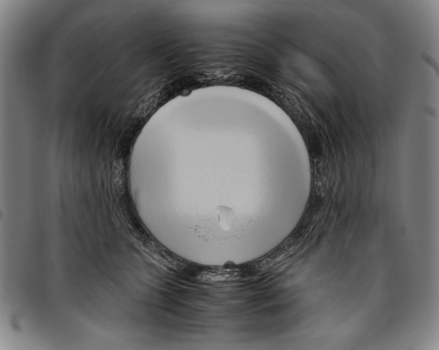 X0000096460563200802211129