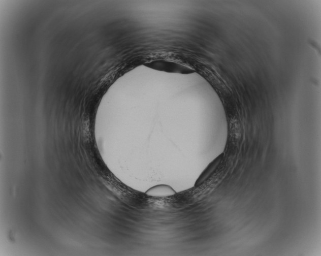 X0000096460564200802211129
