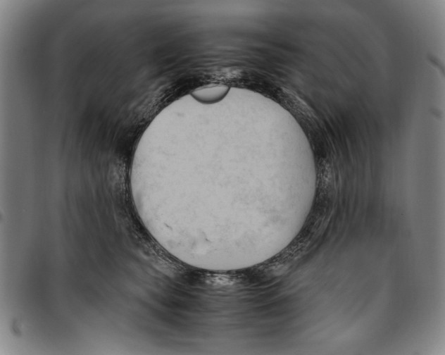 X0000096460565200802211129
