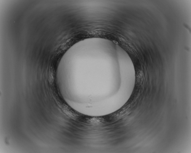 X0000096460566200802211129