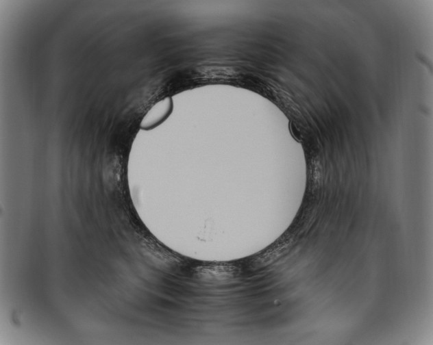 X0000096460567200802211129