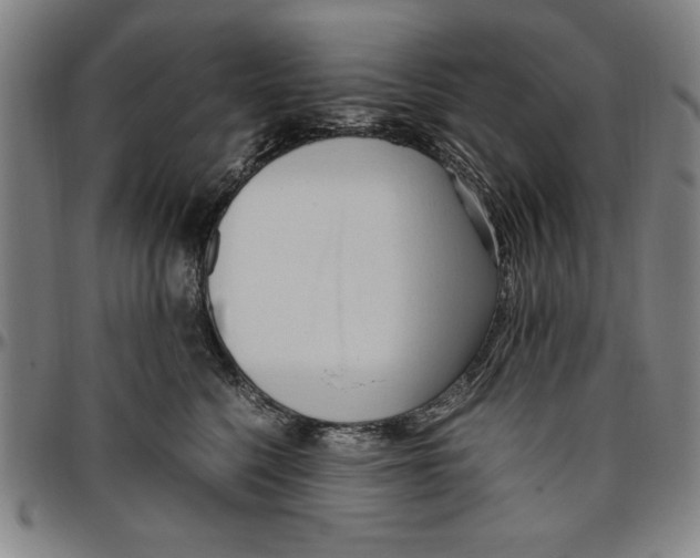X0000096460568200802211129