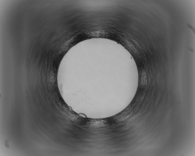 X0000096460569200802211129