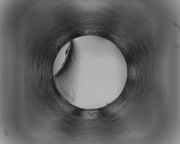 X0000096460571200802211129