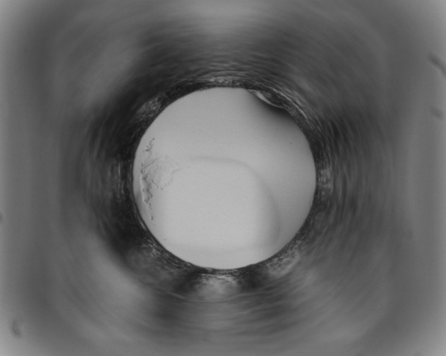 X0000096460572200802211129