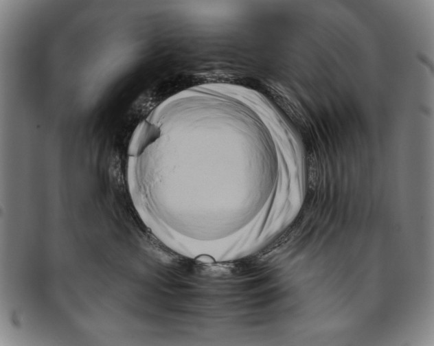 X0000096460573200802211129