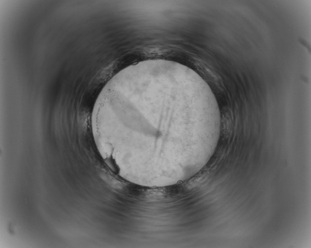 X0000096460574200802211129