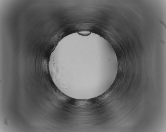 X0000096460575200802211129