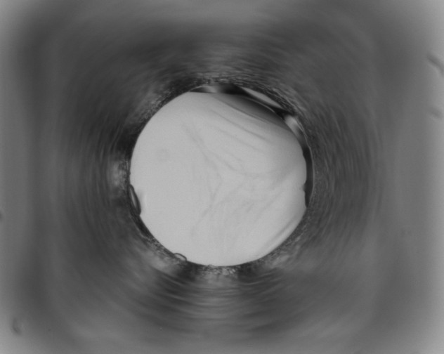 X0000096460576200802211129