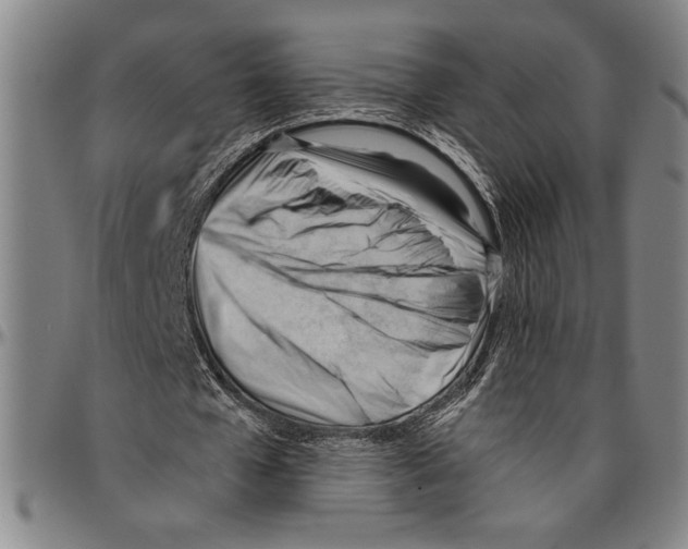 X0000096460577200802211128
