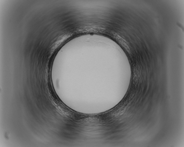 X0000096460578200802211128