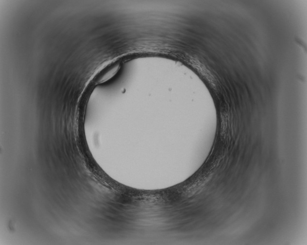 X0000096460580200802211128