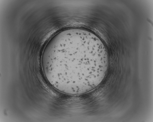 X0000096460581200802211128