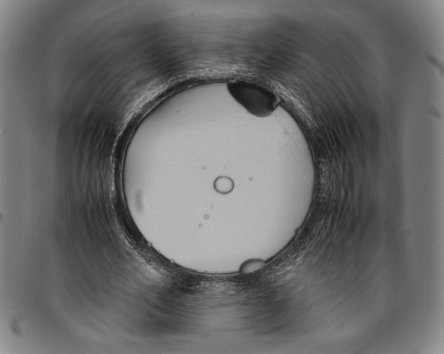 X0000096460582200802211128