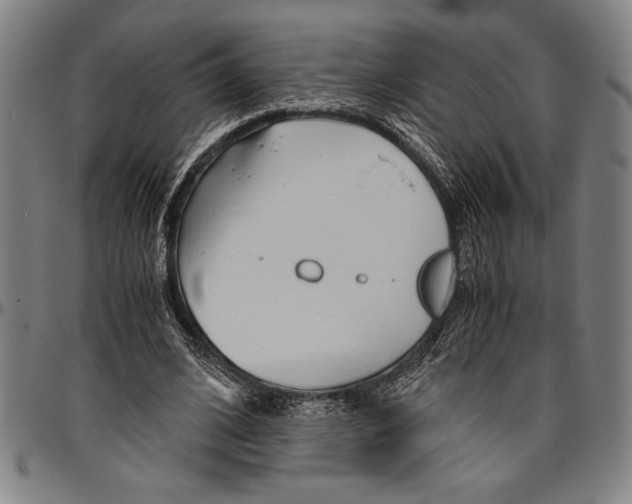 X0000096460584200802211128